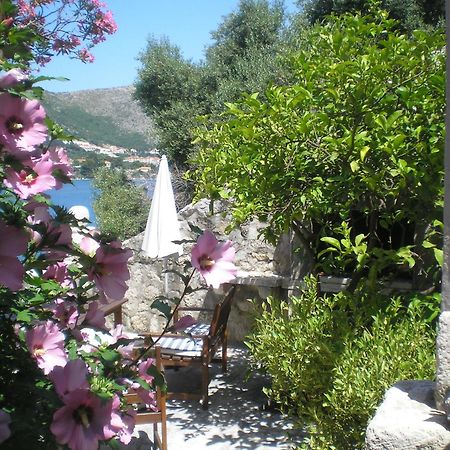 Villa Gverovic Stikovica Номер фото