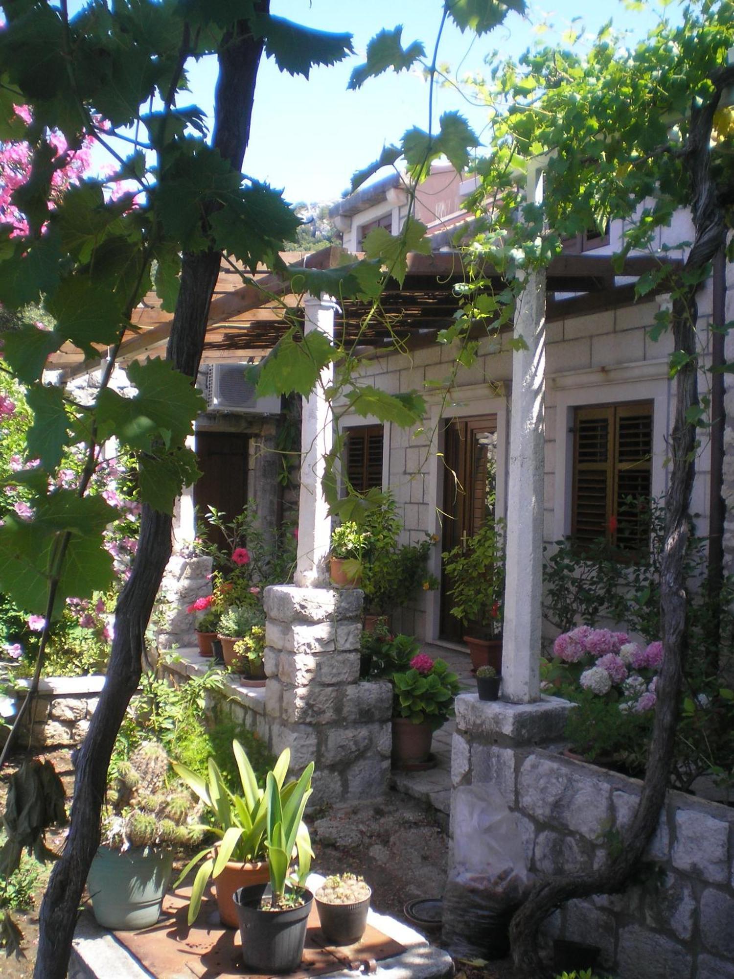 Villa Gverovic Stikovica Номер фото